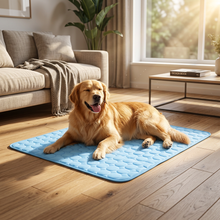 PawPantry ChillPaw™
