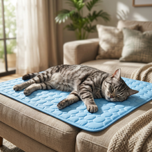 PawPantry ChillPaw™