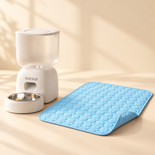 PawPantry SmartFeast + ChillPaw Bundle