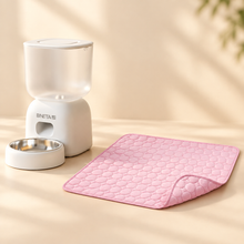 PawPantry SmartFeast + ChillPaw Bundle